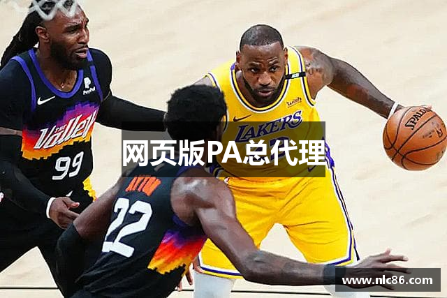 网页版PA总代理